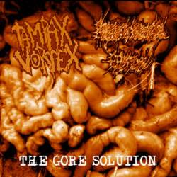 Tampax Vortex : The Gore Solution